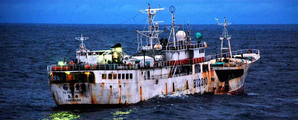 Yu Feng a Taiwanese-flagged fishing vessel suspected of illegal fishing activity. Photo: US Coast Guard / Shawn Eggert