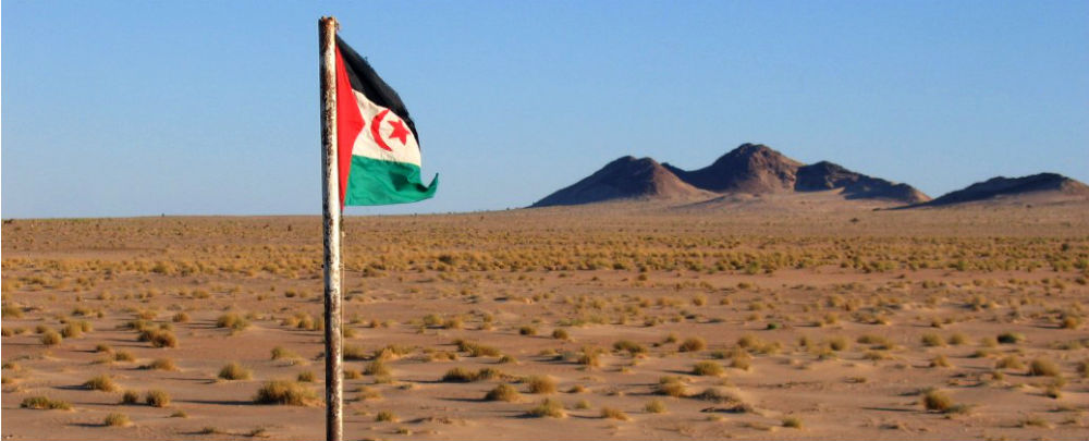 Sahrawi flag