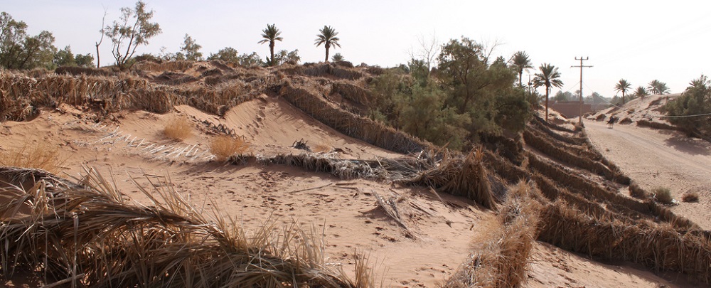 Desertification Management in Tinfu, Morocco