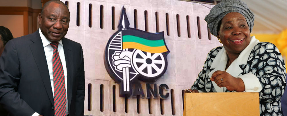 ANC Conference