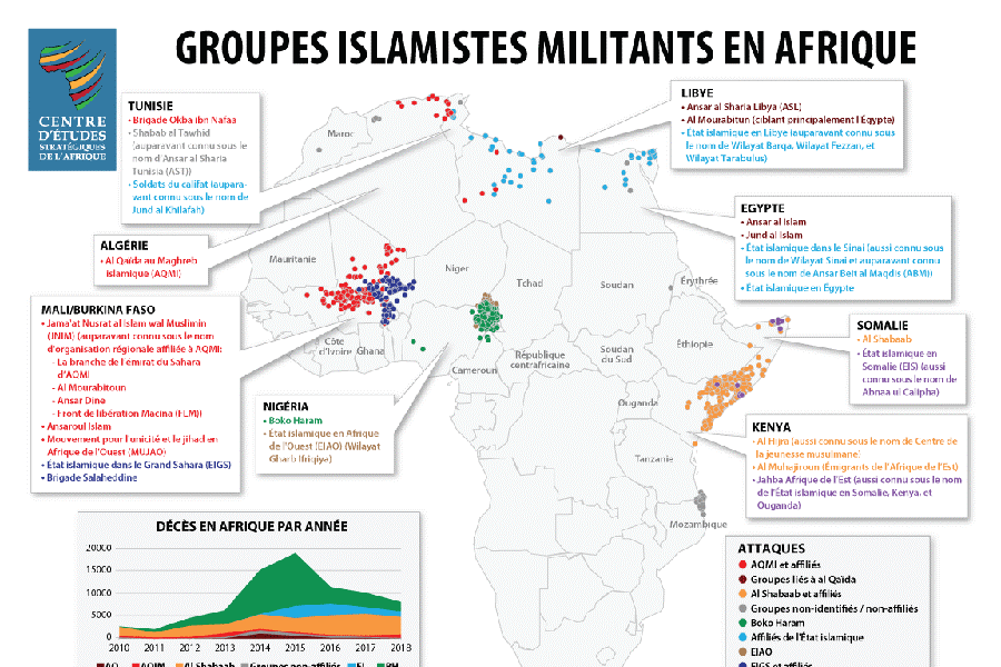 Progrès et revers dans la lutte contre les groupes islamistes militants en Afrique en 2018