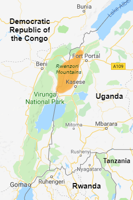 Map showing the Rwenzori Mountains (yellow) along the DRC-Uganda border