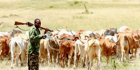 The Growing Complexity of Farmer-Herder Conflict in West and Central Africa