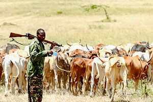 The Growing Complexity of Farmer-Herder Conflict in West and Central Africa