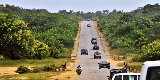 A road in Falgore Forest, Kano State, Nigeria