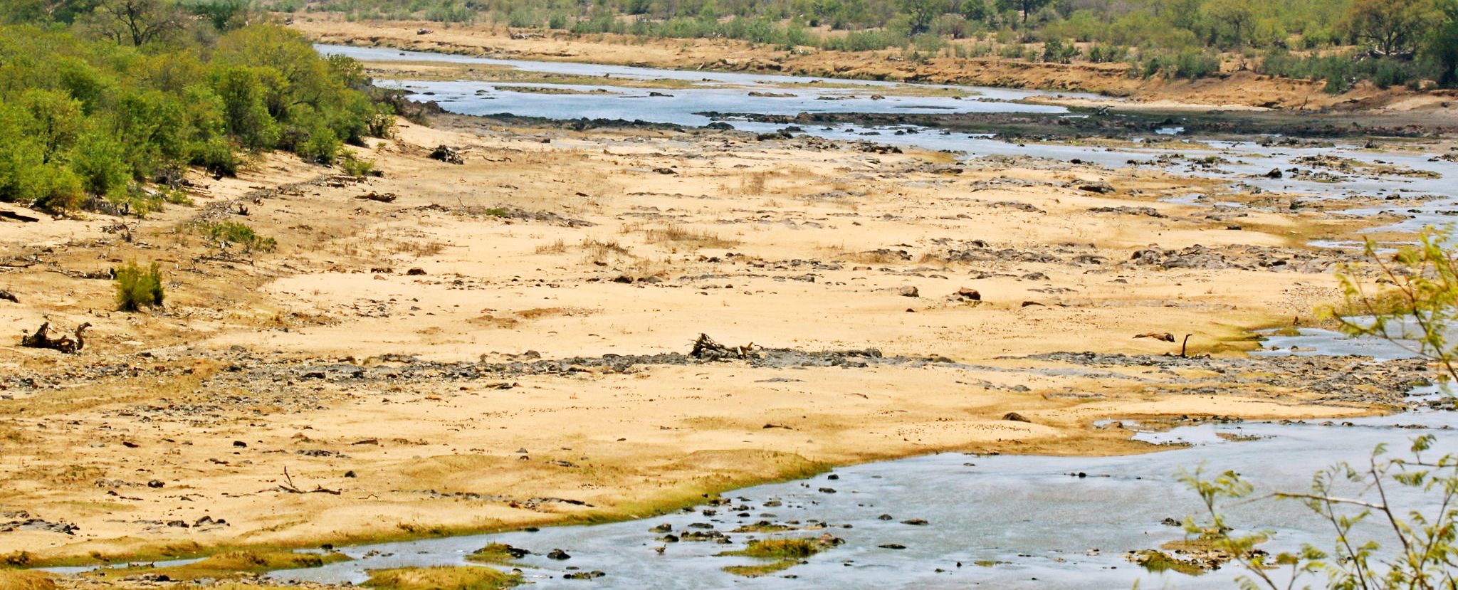The Olifants River in South Africa during the 2015 drought