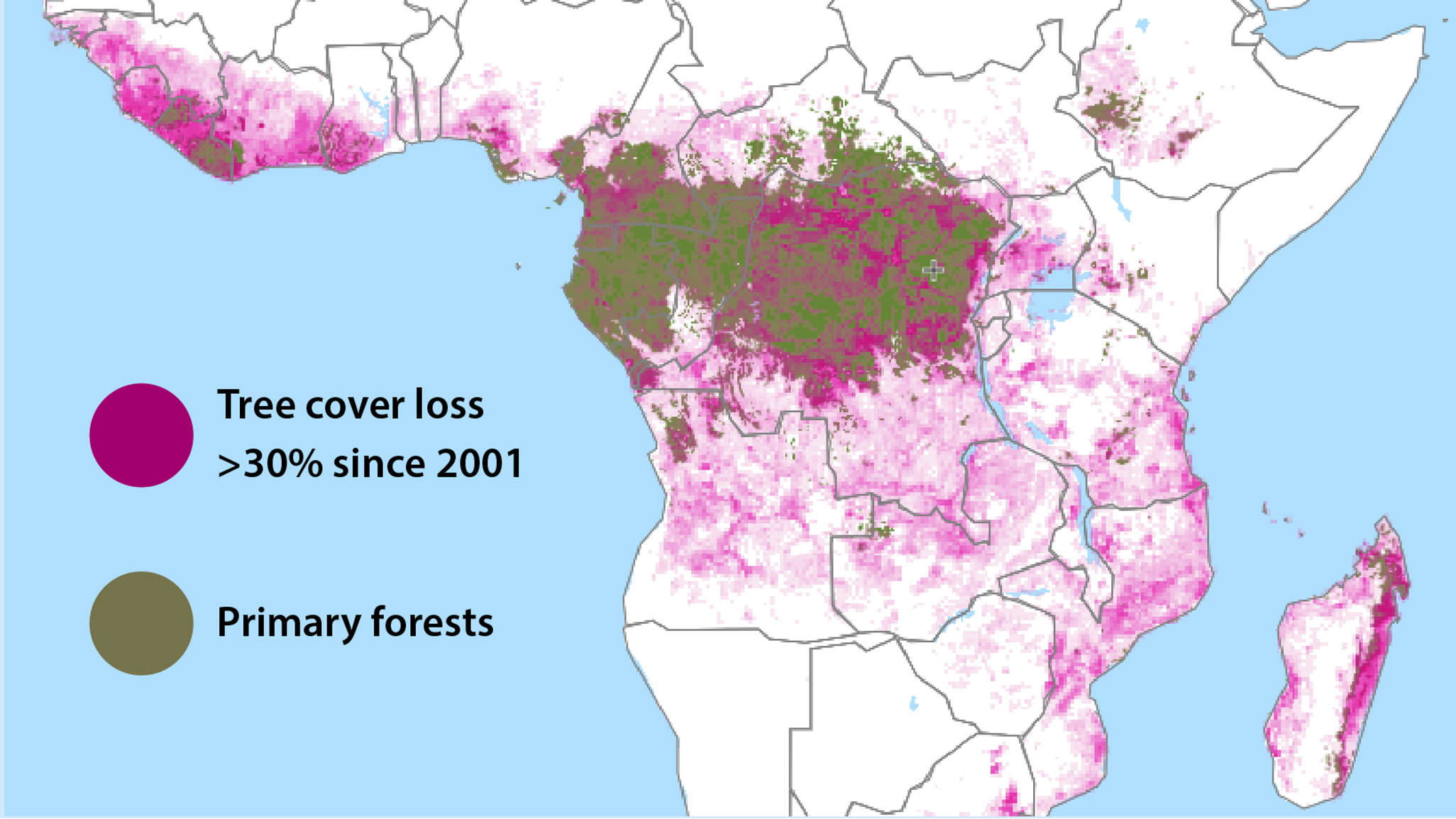 Tree cover loss Congo
