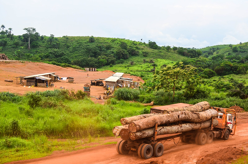 Timber logging storage area in the Democratic Republic of the Congo.