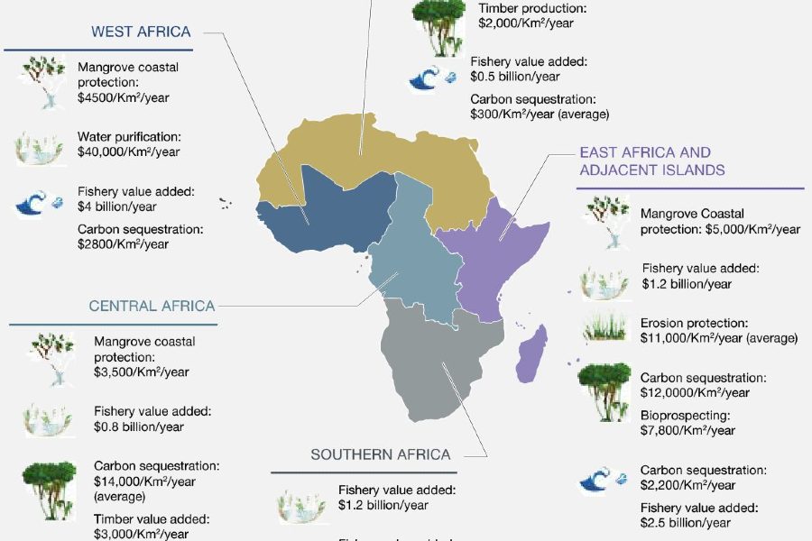 African Biodiversity Loss Raises Risk to Human Security