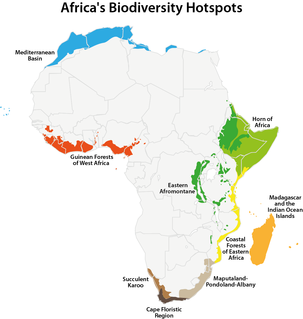 Africa's Biodiversity Hotspots