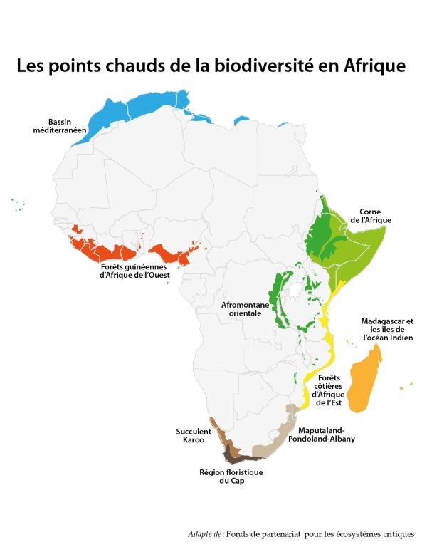 Africa's Biodiversity Hotspots