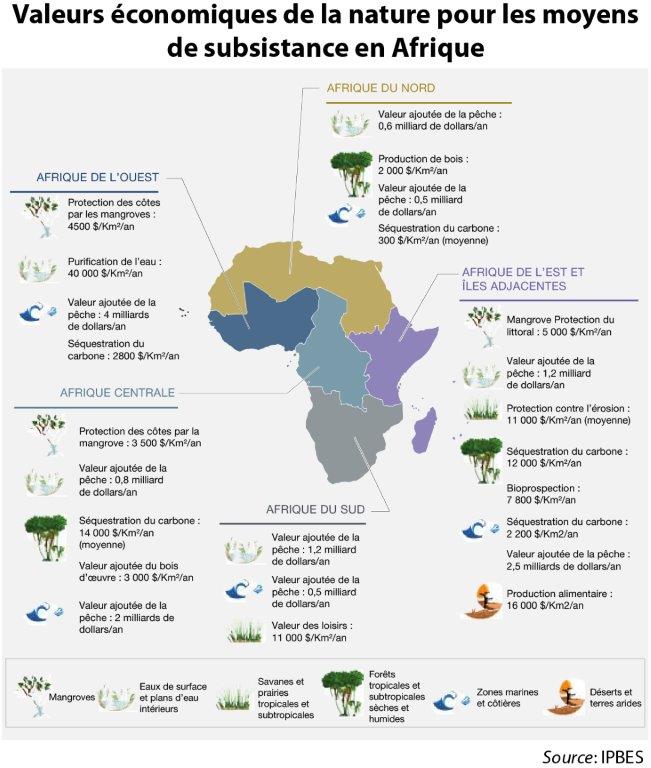 Economic Values to Livelihoods from Nature in Africa