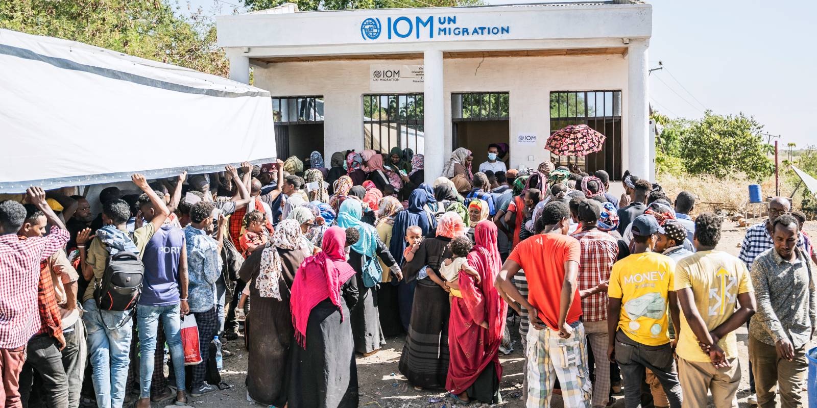 Sudanese refugees in Metema, Ethiopia waiting to register at the International Organization for Migration. 