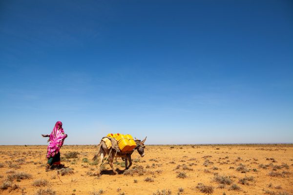 A pastoralist walks home after collecting water at a UNDP-funded dam in Baligubadle, Somaliland.