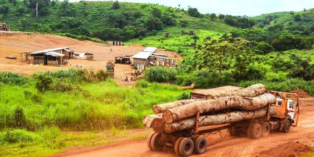 The Regional Security Imperative to Protect the Congo Basin